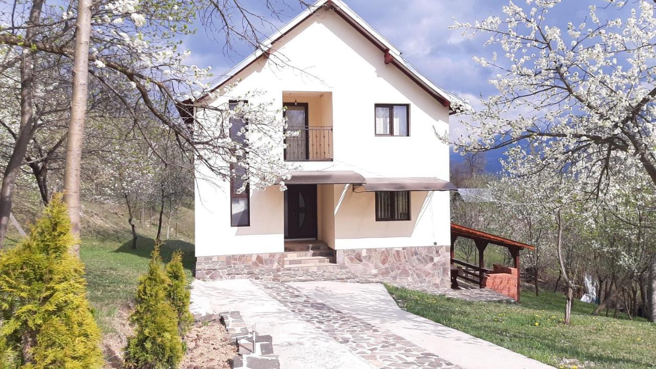 Casa Flutar Villa Moisei Bagian luar foto