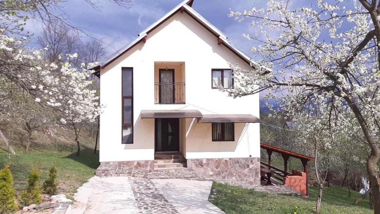 Casa Flutar Villa Moisei Bagian luar foto